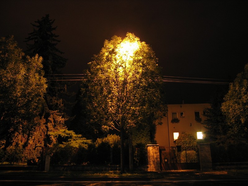 08