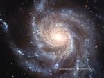 M101_1.jpg