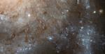 M101_detail.jpg