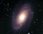 Galaxie M 81, Foto  Pavel Caga� a Kamil Hornoch.