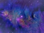 NGC 2264 v neprav�ch barv�ch po��zen� p�es �zkop�smov� filtry Ha,SII,OIII. Foto Zdenek Bardon.