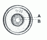 Obr. 2: výstupní pupila na vnější ploše okuláru dalekohledu.