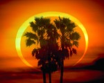 Prstencové zatmění Slunce. Autor: Dennis Mannama. Zdroj: APOD