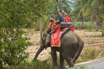 Na slonovi cestou z lázně. Autor: Martin Popek