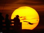 Přechod Venuše s rybáři a pelikánem. Autor: Jim Tiller