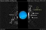 Objev nového měsíce planety Neptun Autor: NASA, ESA a M. Showalter (SETI Institute)