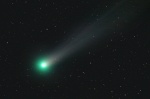 Kometa Lovejoy 25. listopadu 2013. Autor: Hermann Koberger.