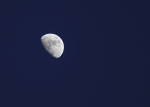 Měsíc na podvečerní obloze. Autor: Jiří Milfait