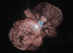 13.08.2000 - Eta Carinae - odsouzená hvězda