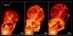 21.09.2000 - Soustava XZ Tauri vyvrhuje plynovou bublinu