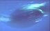 01.12.2001 - Neptunova velká tmavá skvrna: Je pryč ale není zapomenuta
