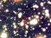 14.04.2002 - Kandidát na kvarkovou hvězdu RX J185635-375