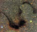 09.04.2002 - Hadí mlhovina dalekohledem CFHT