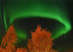 15.10.2002 - Prstenec polární záře