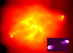 05.10.2002 - Cygnus A rentgenově