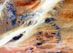 12.11.2002 - Oáza Terkezi v Saharské poušti
