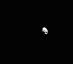 19.01.2004 - Průlet sondy STARDUST kometou Wild 2