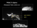 22.06.2004 - Neobvyklé věže nalezené na kometě Wild 2