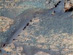 27.07.2004 - Čepele v kráteru Endurance