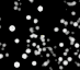 14.01.2007 - Sgr A*: Rychlé hvězdy u středu Galaxie