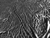 31.03.2008 - Podrobný snímek tygřích pruhů na  Enceladu