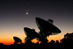 10.03.2008 - Uskupení planet nad australskými radioteleskopy
