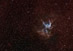 12.03.2009 - Thorova přilba (NGC 2359) a planetární mlhovina