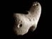 07.06.2009 - Rekonstrukce asteroidu Eros