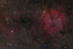 19.08.2009 - IC 1396 a hvězdy kolem
