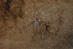 08.11.2009 - M7: Otevřená hvězdokupa ve Štíru