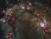 16.11.2009 - Střed M83 z vylepšeného Hubbla