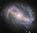 28.12.2009 - Spirální galaxie NGC 6217 s příčkou