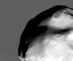 10.03.2010 - Saturnův měsíc Helene ze sondy Cassini