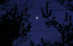 13.02.2012 - Neobvyklý Venušin ovál