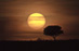 19.03.2012 - Skupina slunečních skvrn 1429 a vzdálené slunce