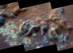 27.03.2012 - Neobvyklé propadliny objevené na planetě Merkur