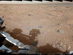 05.02.2013 - Mars: Stín v Point Lake