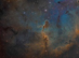 26.07.2013 - Sloní chobot v IC 1396