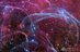 01.10.2013 - Filamenty zbytku supernovy v Plachtách