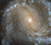 20.05.2014 - Ve středu spirální galaxie M61