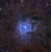 02.08.2014 - NGC 7023: Mlhovina Kosatec