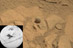 29.09.2014 - Zvláštní kameny u Pahrump Hills na Marsu