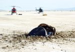 13.11.2022 - Havárie létajícího talíře v poušti v Utahu