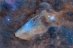 26.09.2023 - IC 4592: Reflexní mlhovina Modrá koňská hlava
