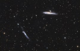 Galaxie Veľryba a Hokejka NGC 4631 + NGC 4656