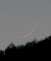 Autor: Antonín Hušek - Měsíc starý 1,27 dne (těsně nad okrajem lesa)