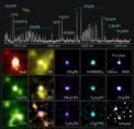 Autor: ALMA (ESO/NAOJ/NRAO), T. Shimonishi (Niigata University) - Rádiové spektrum protohvězdy na vzdáleném okraji naší Galaxie