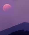 Autor: Martin Gembec - Měsíc během částečného zatmění 7. 8. 2017 se promítal z Panské skály na Českolipsku nad kopec Ralsko