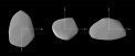 Autor: Astronomický ústav AV ČR - Tvar planetky Apophis rekonstruovaný z světelné křivky získané při pozorovací kampani organizované P. Pravcem z AsÚ. 