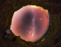 Autor: Petr Horálek - Noční nebe asi 50 km daleko od novozélandského většího města Hastings. I relativně tak blízko k městu jsou pohledy k nebi už fantastické. Snímek vybrala NASA jako prestižní Astronomy Picture Of the Day 29. července 2014.